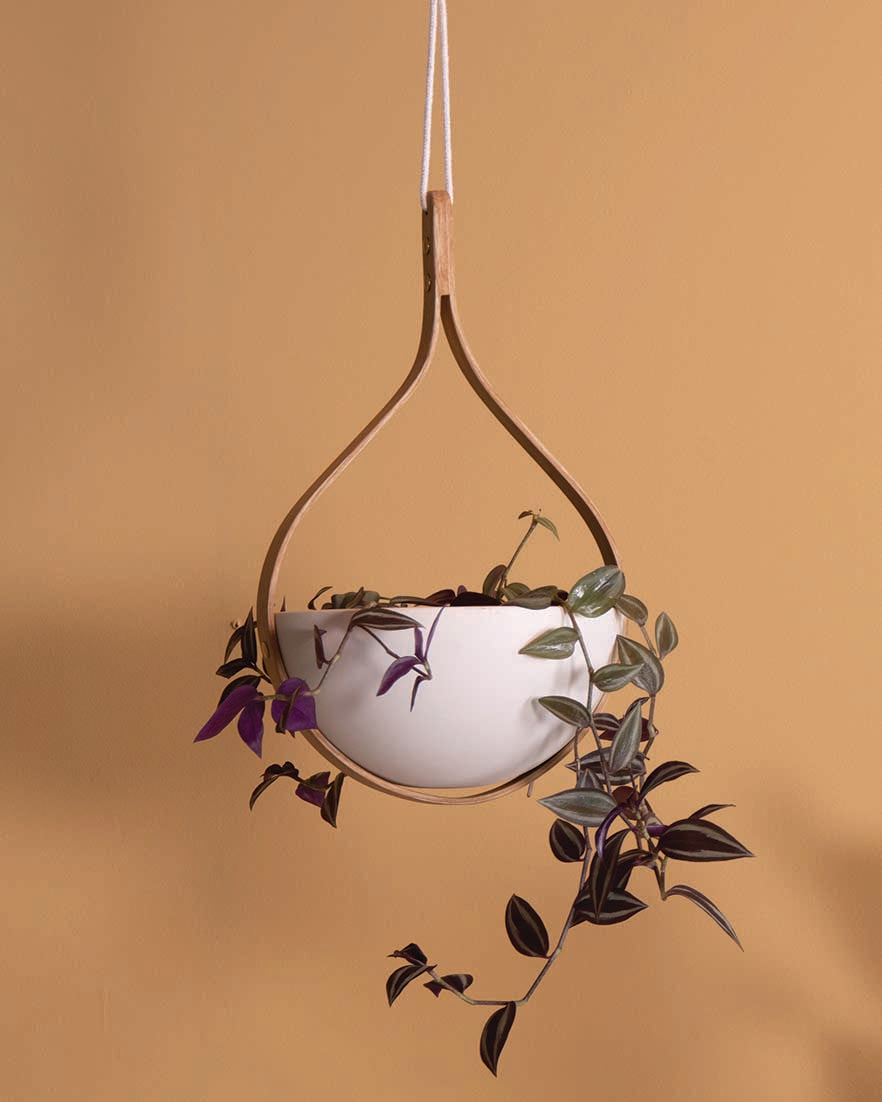 SECONDS - Morvah Small Ceiling Hanging Planter